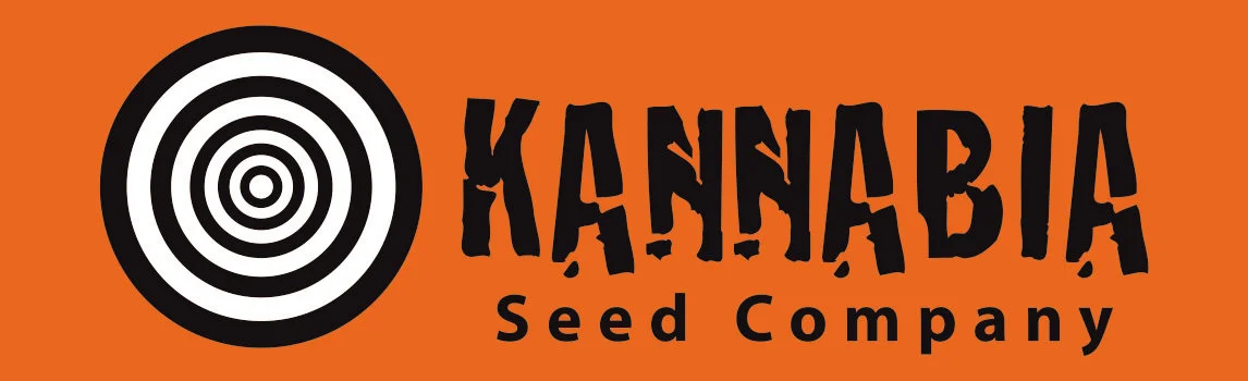 Купить семена марихуаны Kannabia. Акция.
